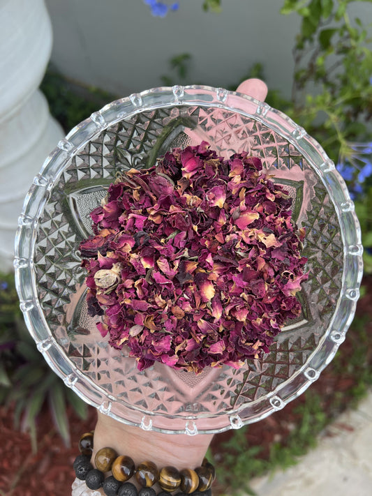 Red Rose Buds / Petals