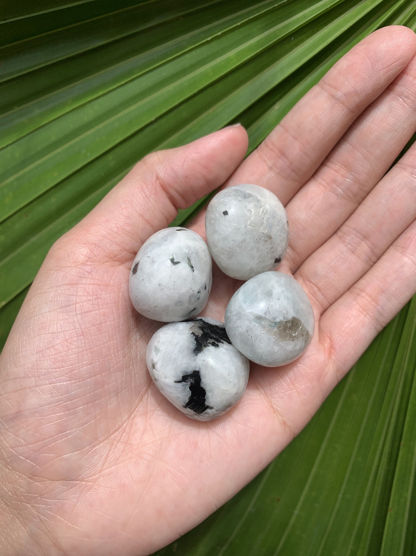 Rainbow Moonstone- Small