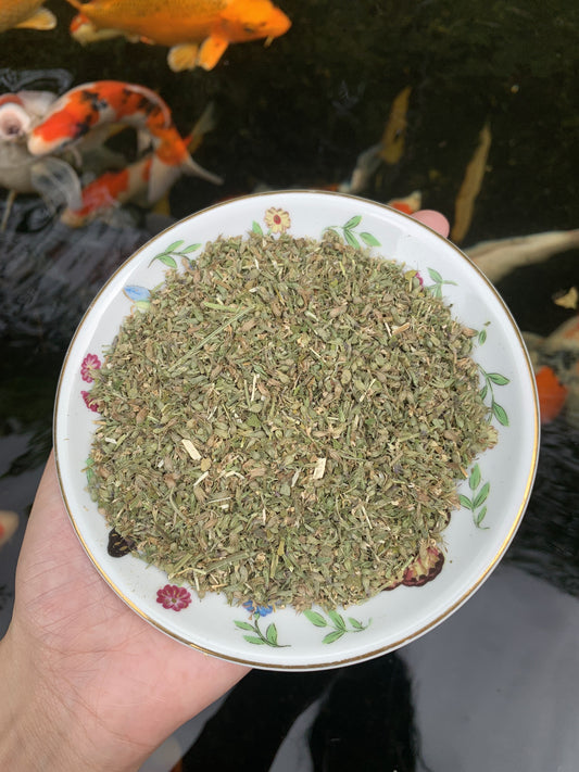 Catnip