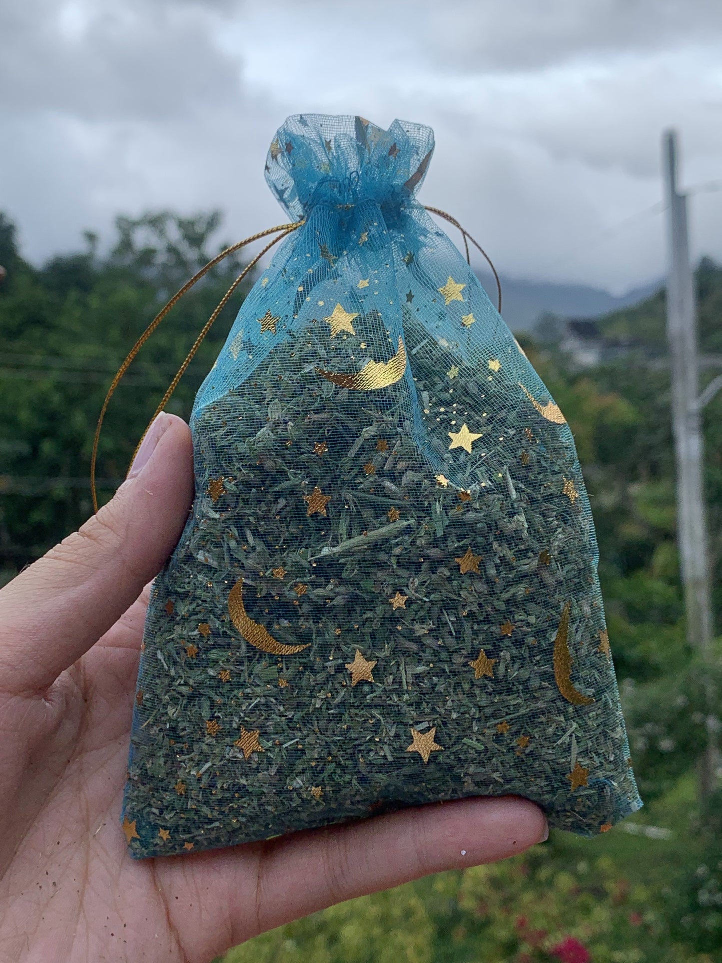 Catnip