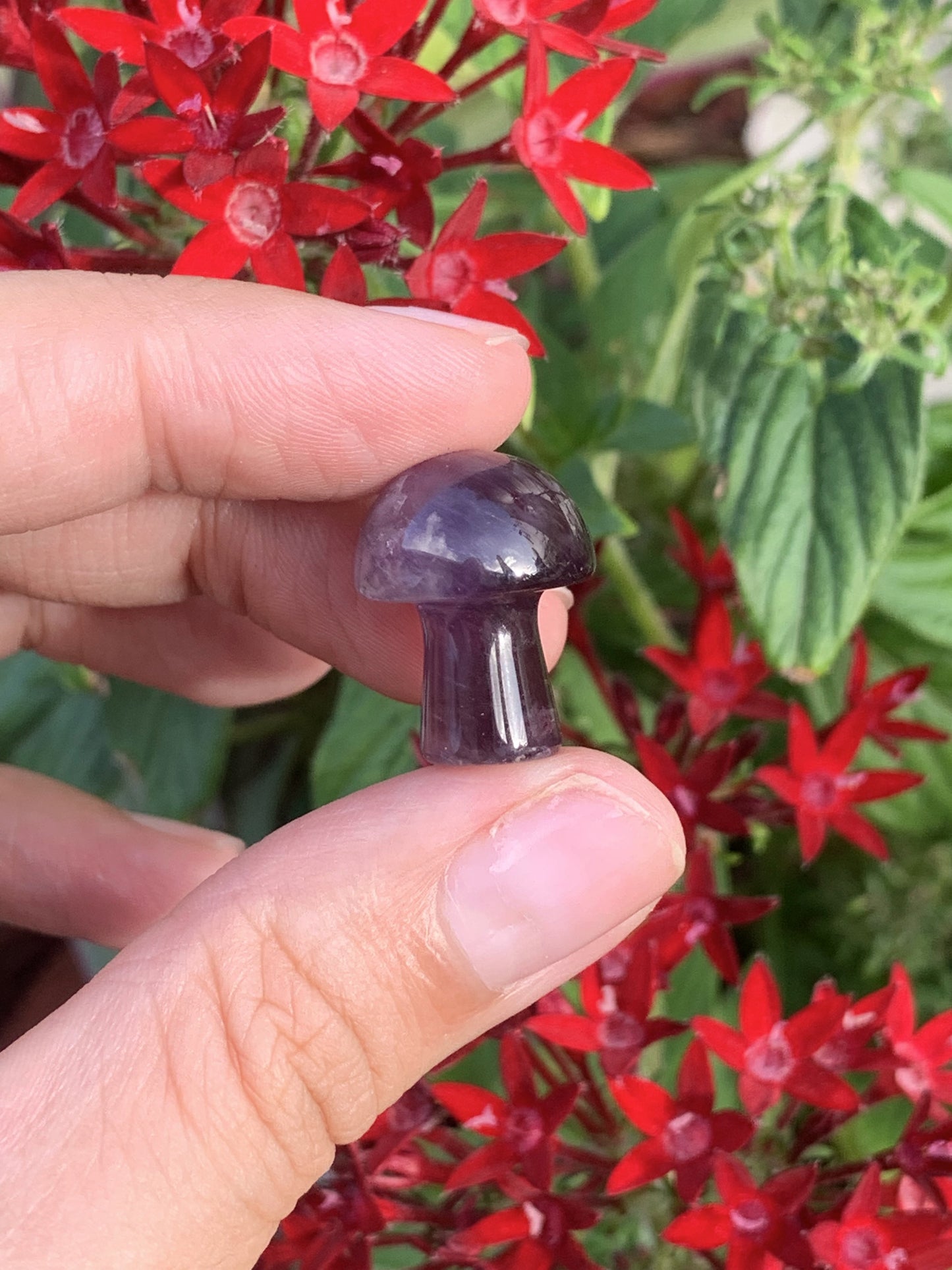 Mini Amethyst Mushroom