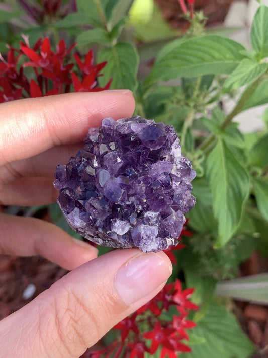 Amethyst Cluster Small