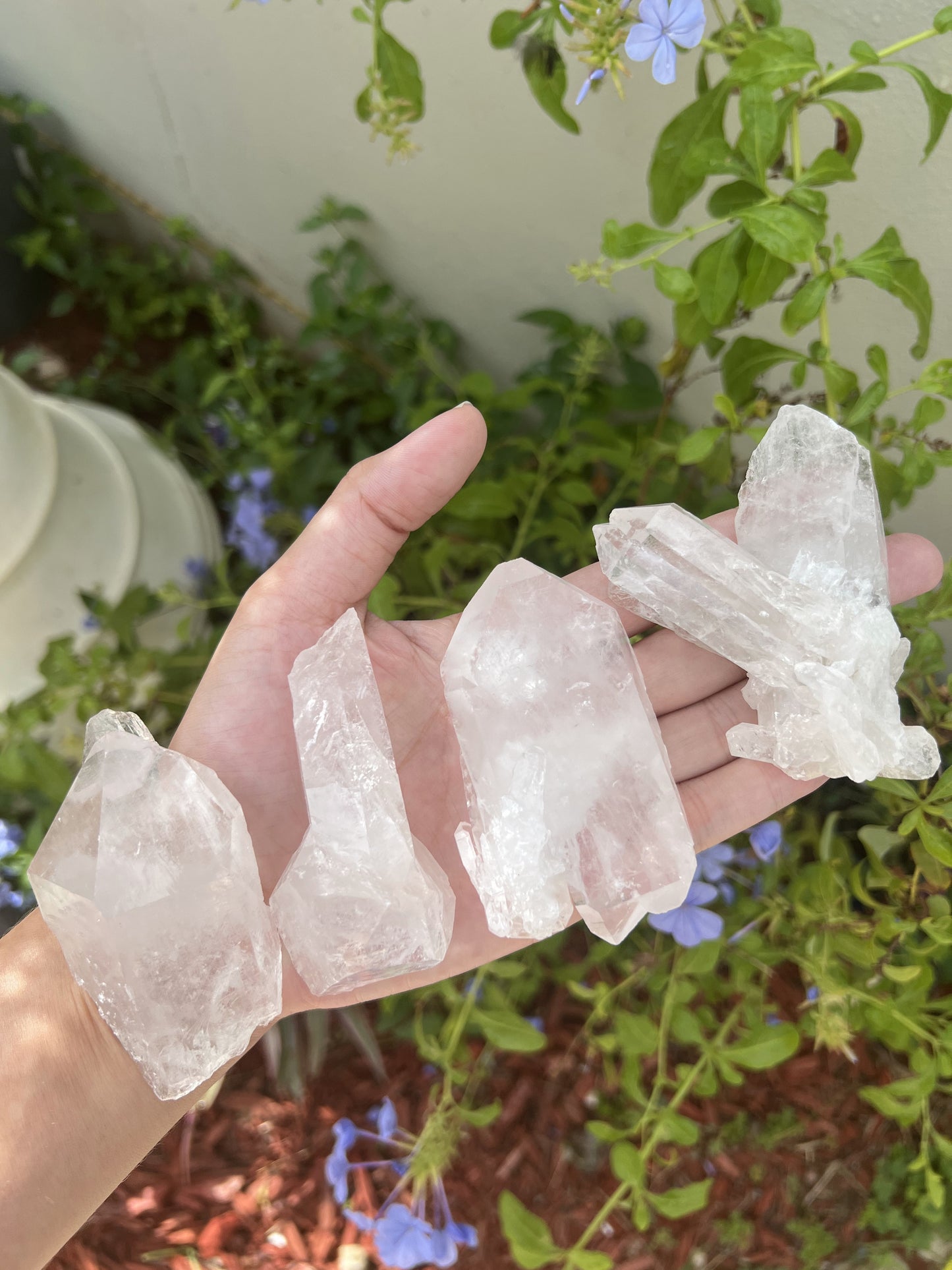 Crystal Quartz Clusters