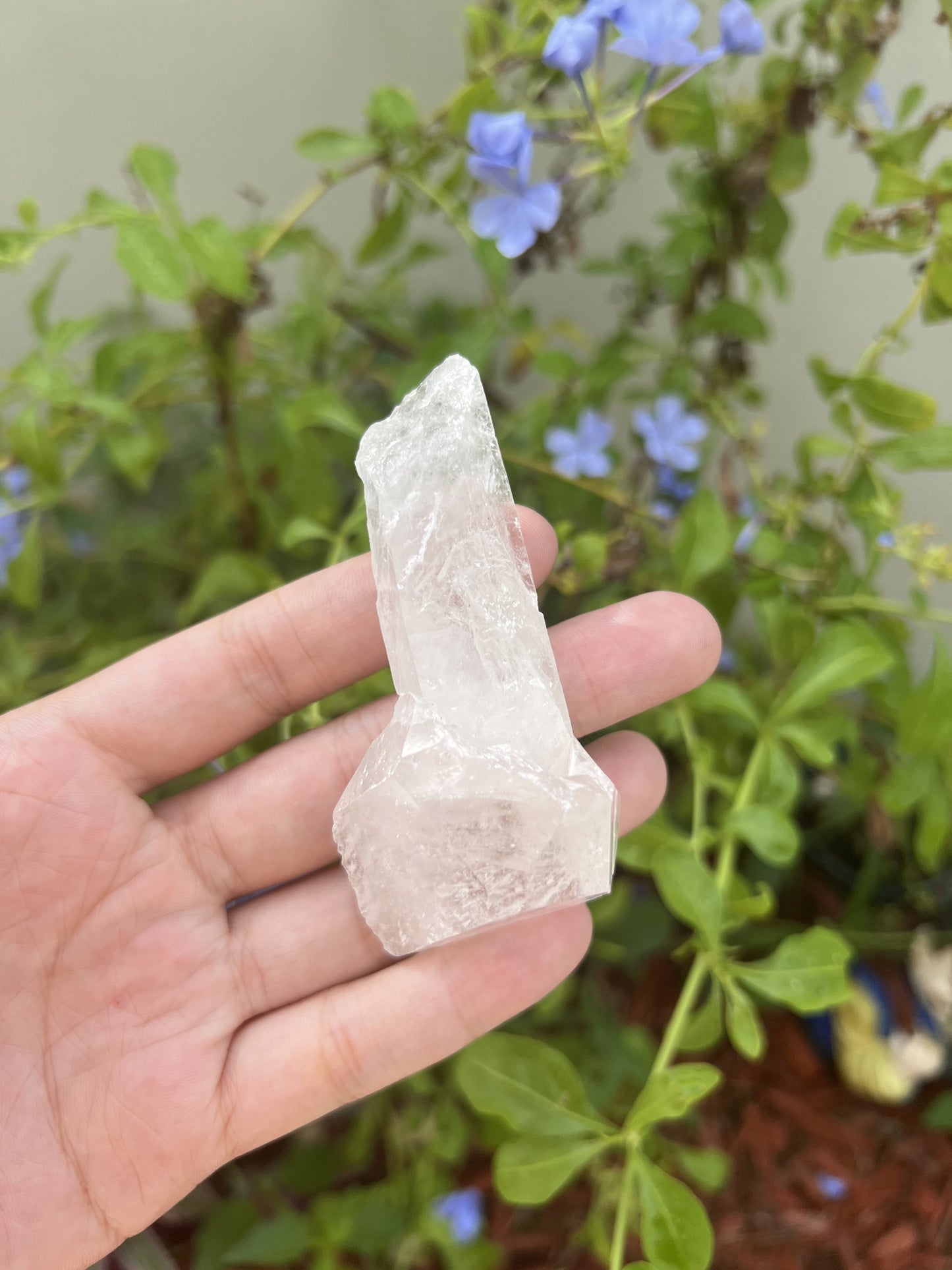 Crystal Quartz Clusters