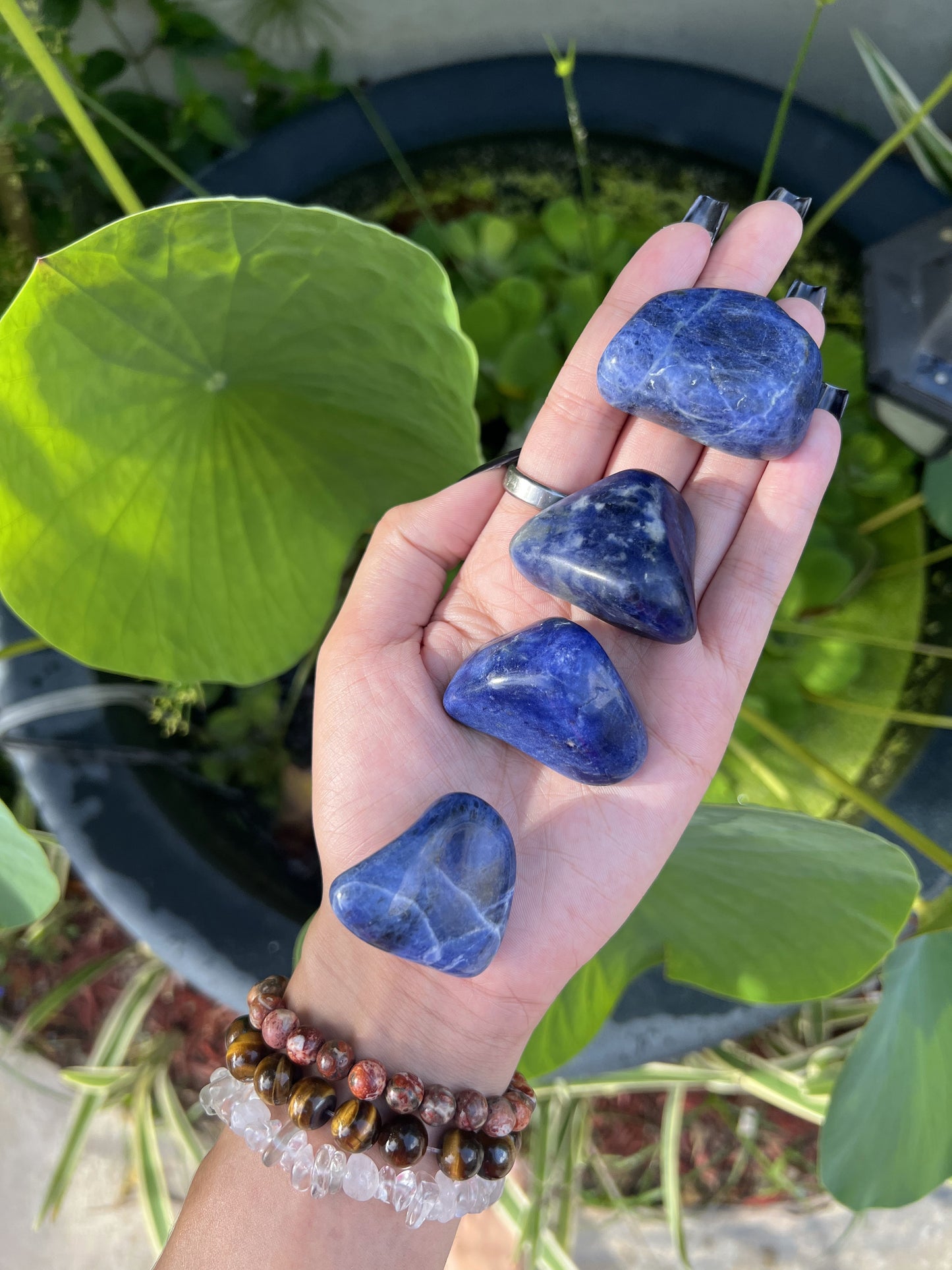 Sodalite Tumbles
