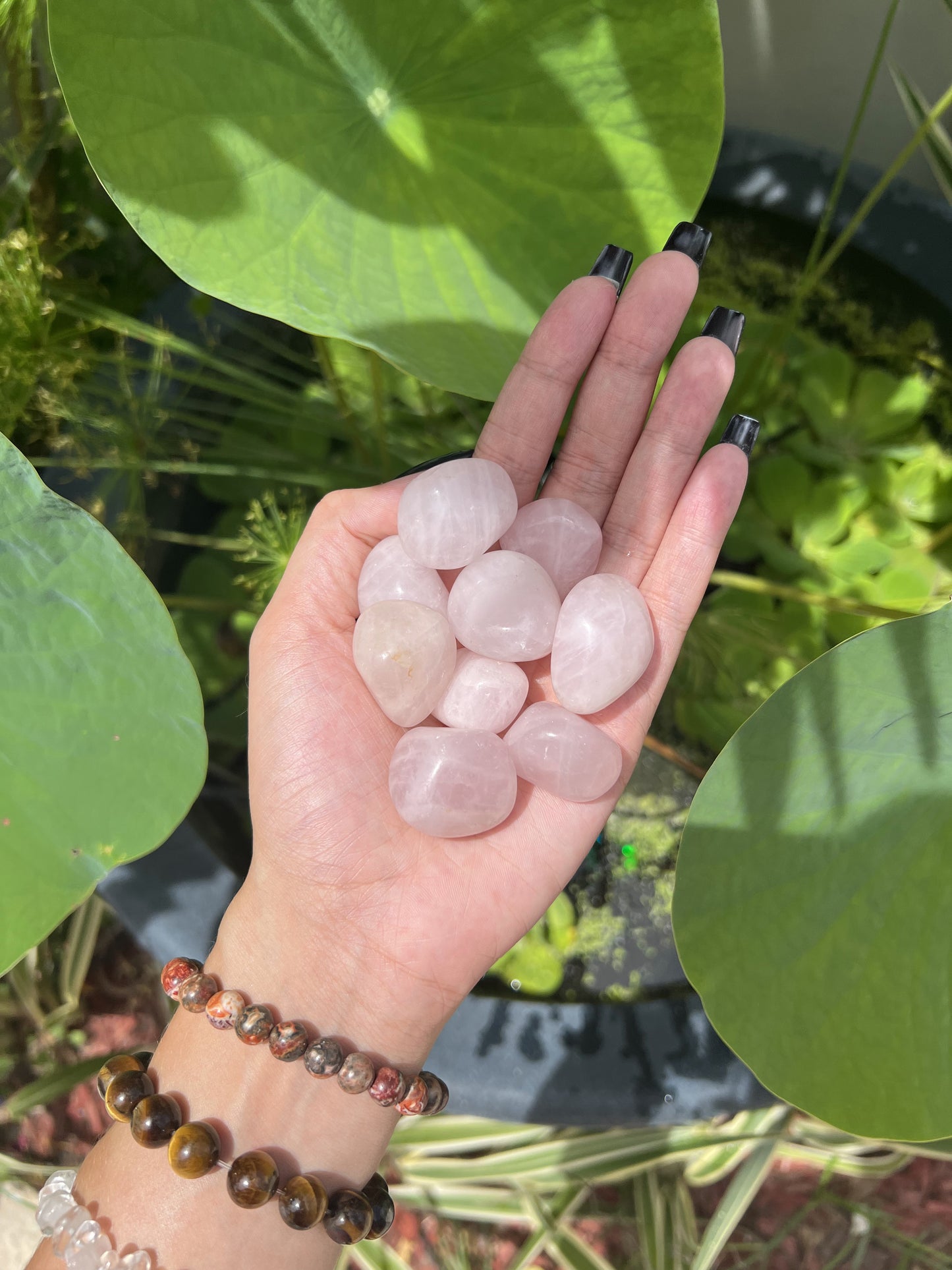 Rose Quartz Tumbles