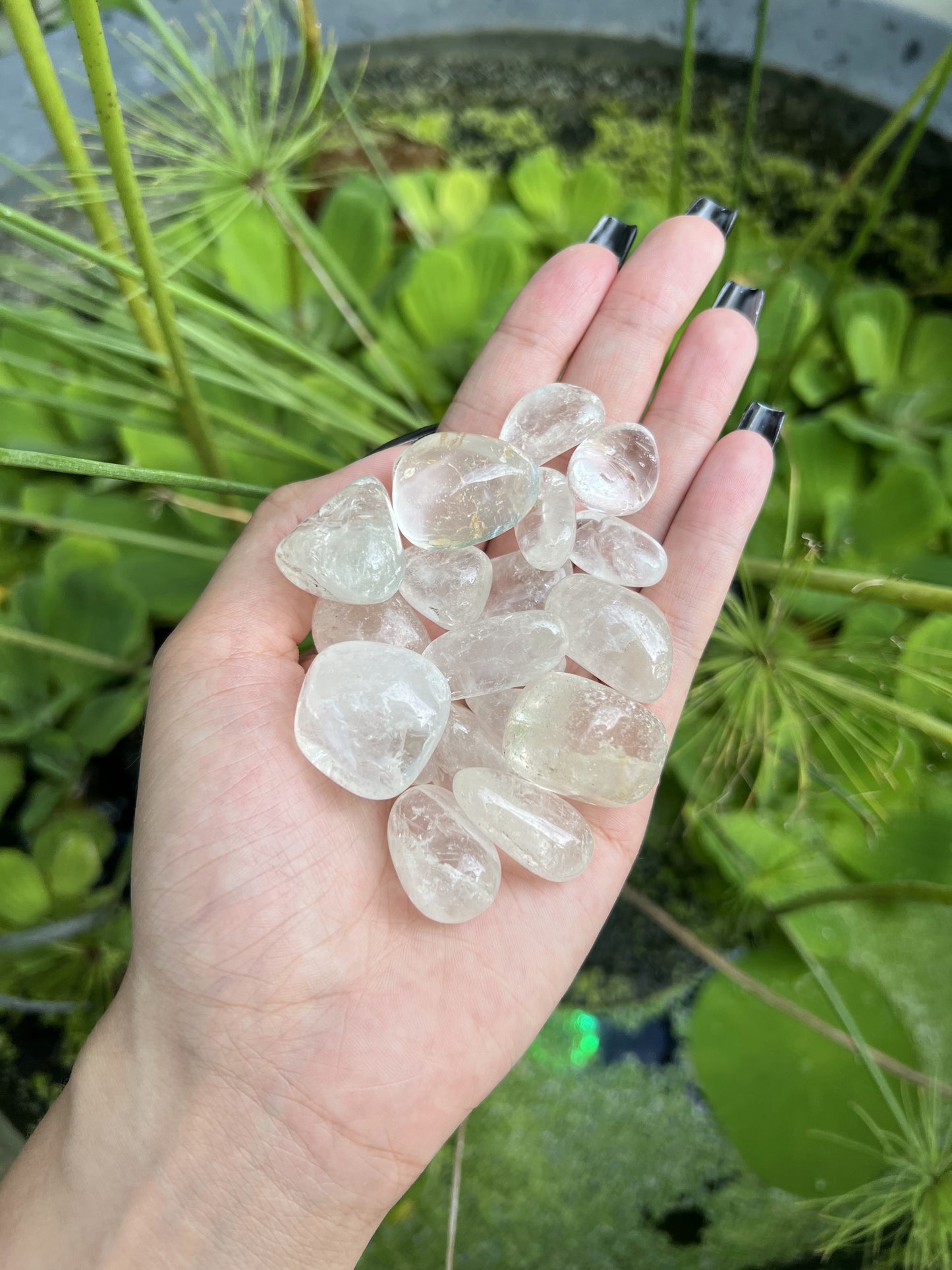 Mini Clear Quartz Tumbles