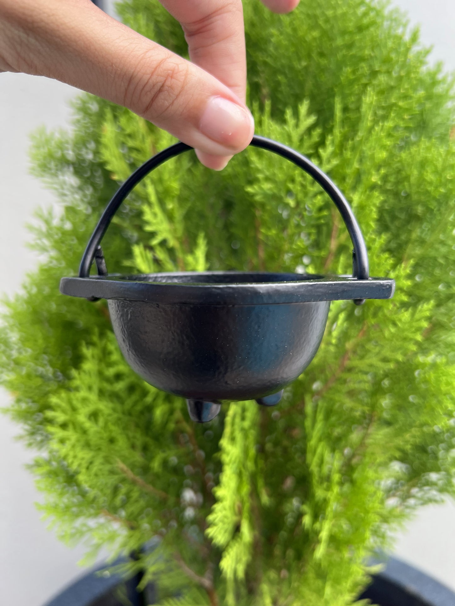 Cast Iron Cauldron Small