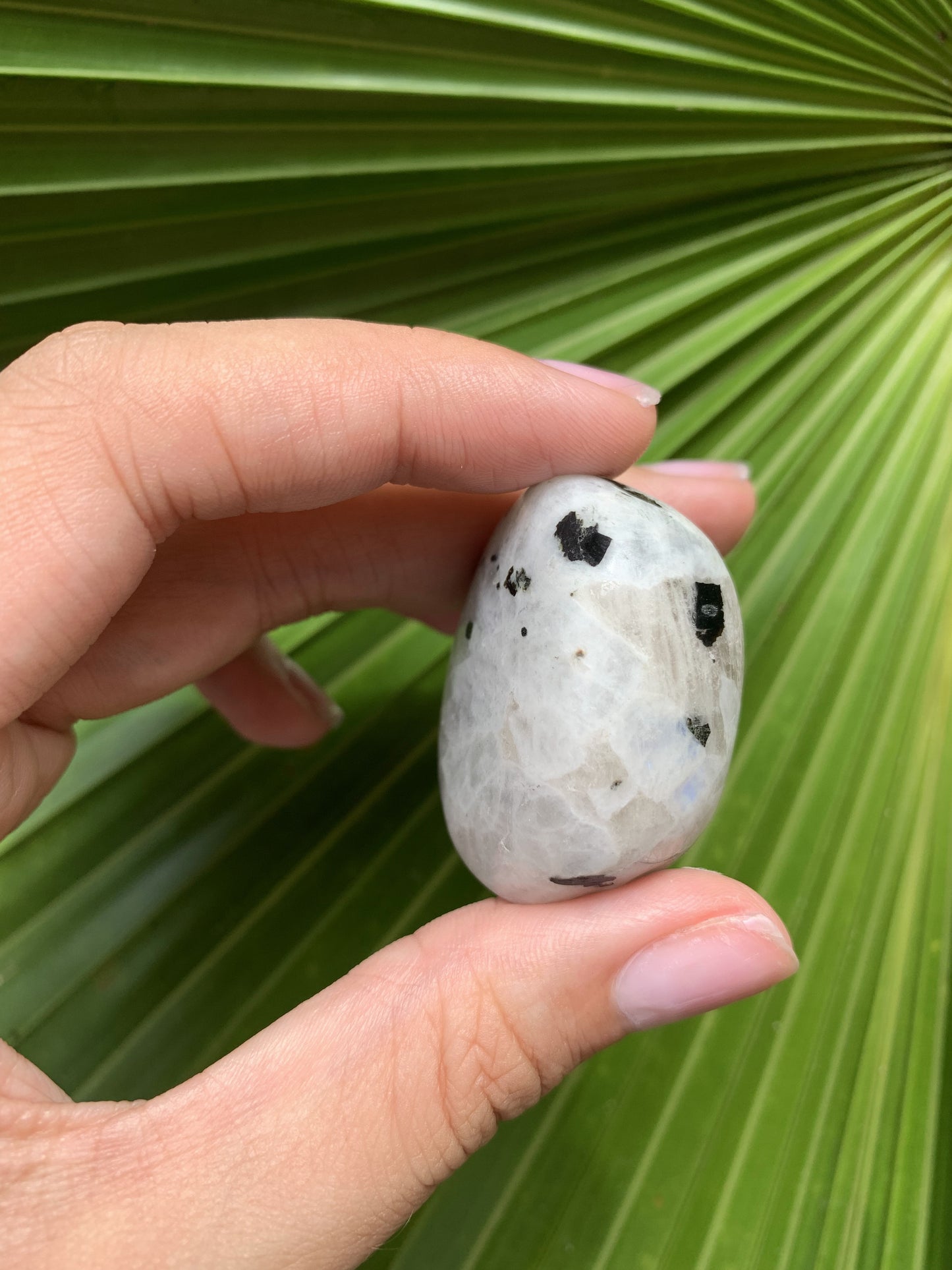 Rainbow Moonstone- Large