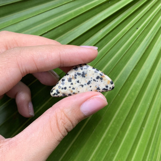 Dalmatian Jasper - Small