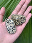 Dalmatian Jasper - Large