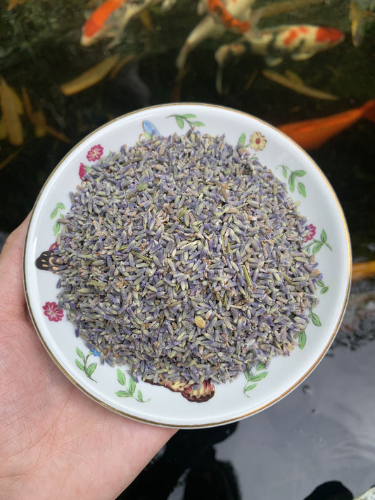 Premium Lavender Flowers