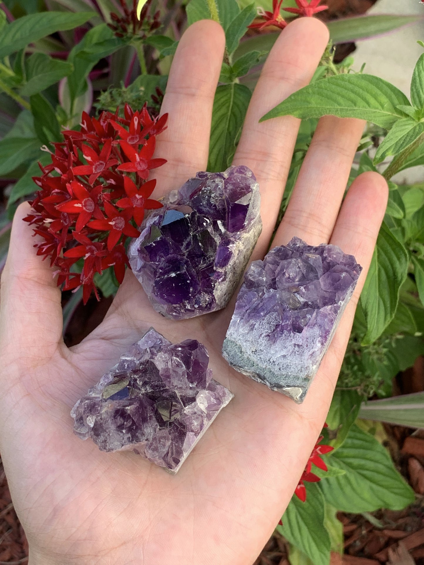 Amethyst Cluster Medium