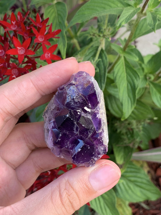 Amethyst Cluster Medium