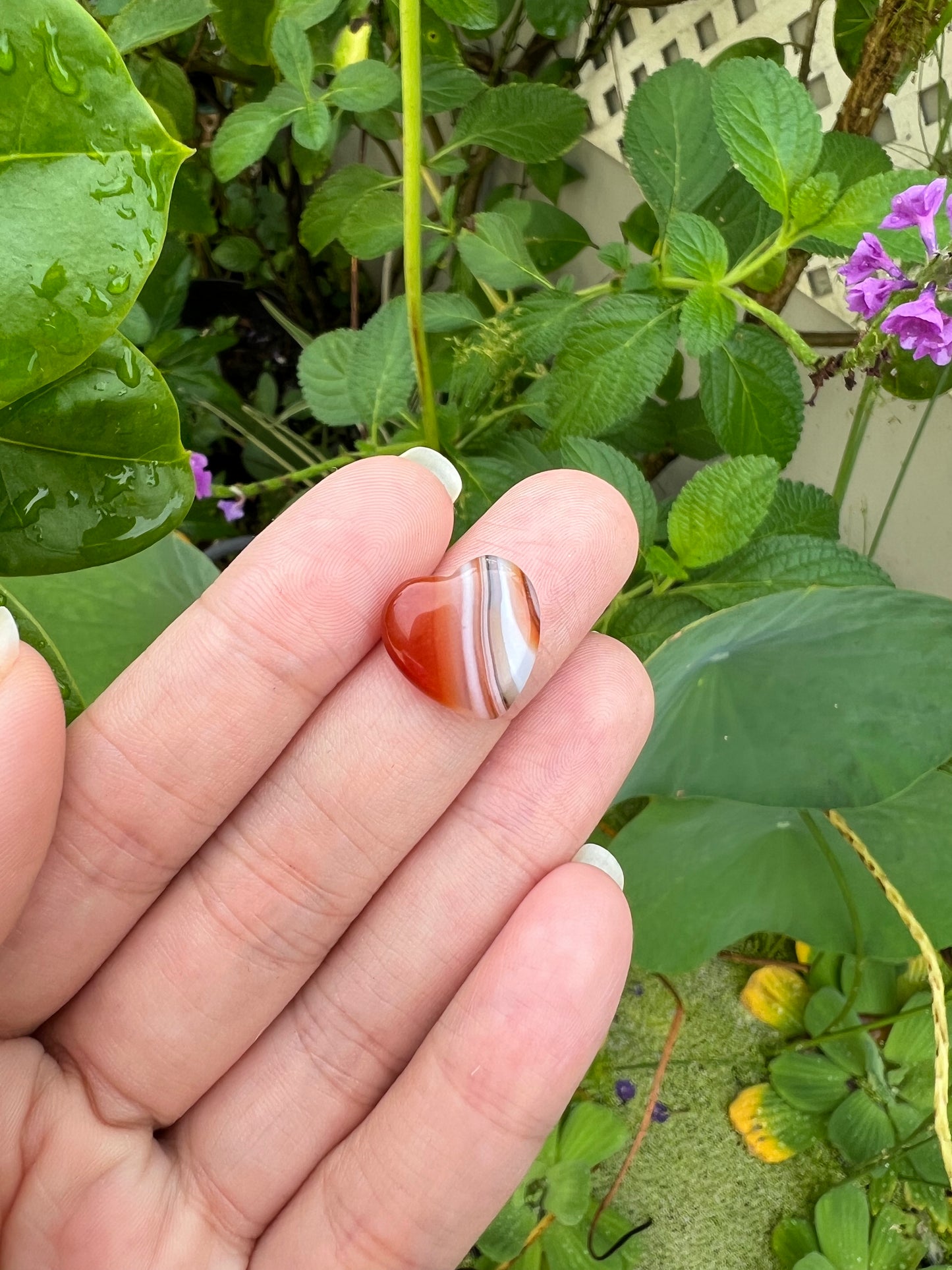 Mini Carnelian Heart