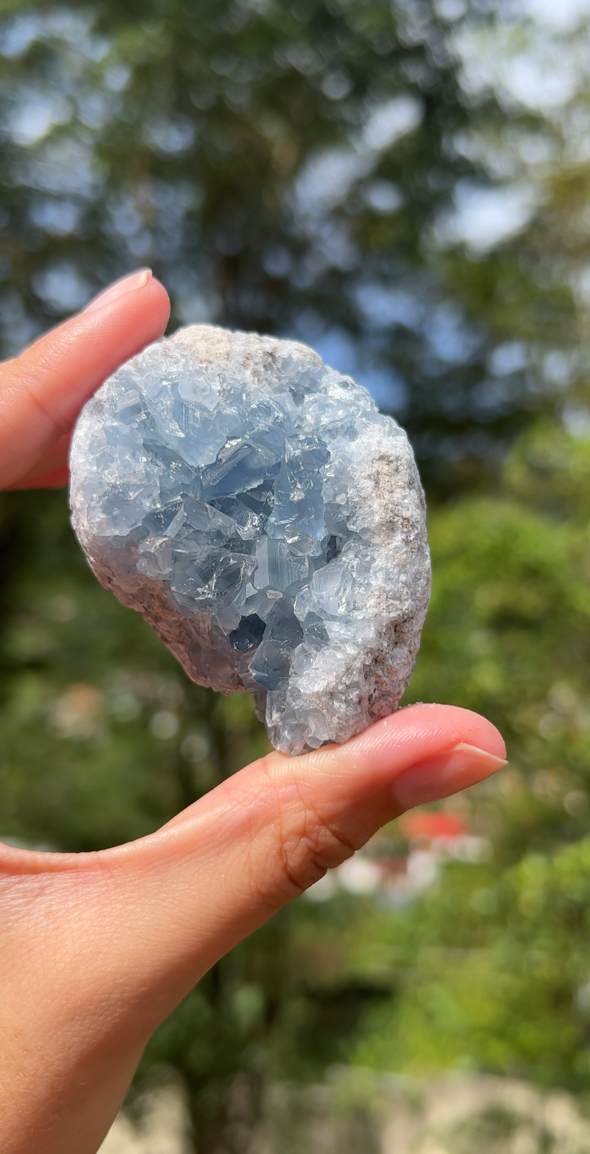 Celestite Cluster