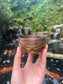 Flower of Life Copper Singing Bowl + Carrying Case