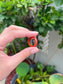 Carnelian Ring