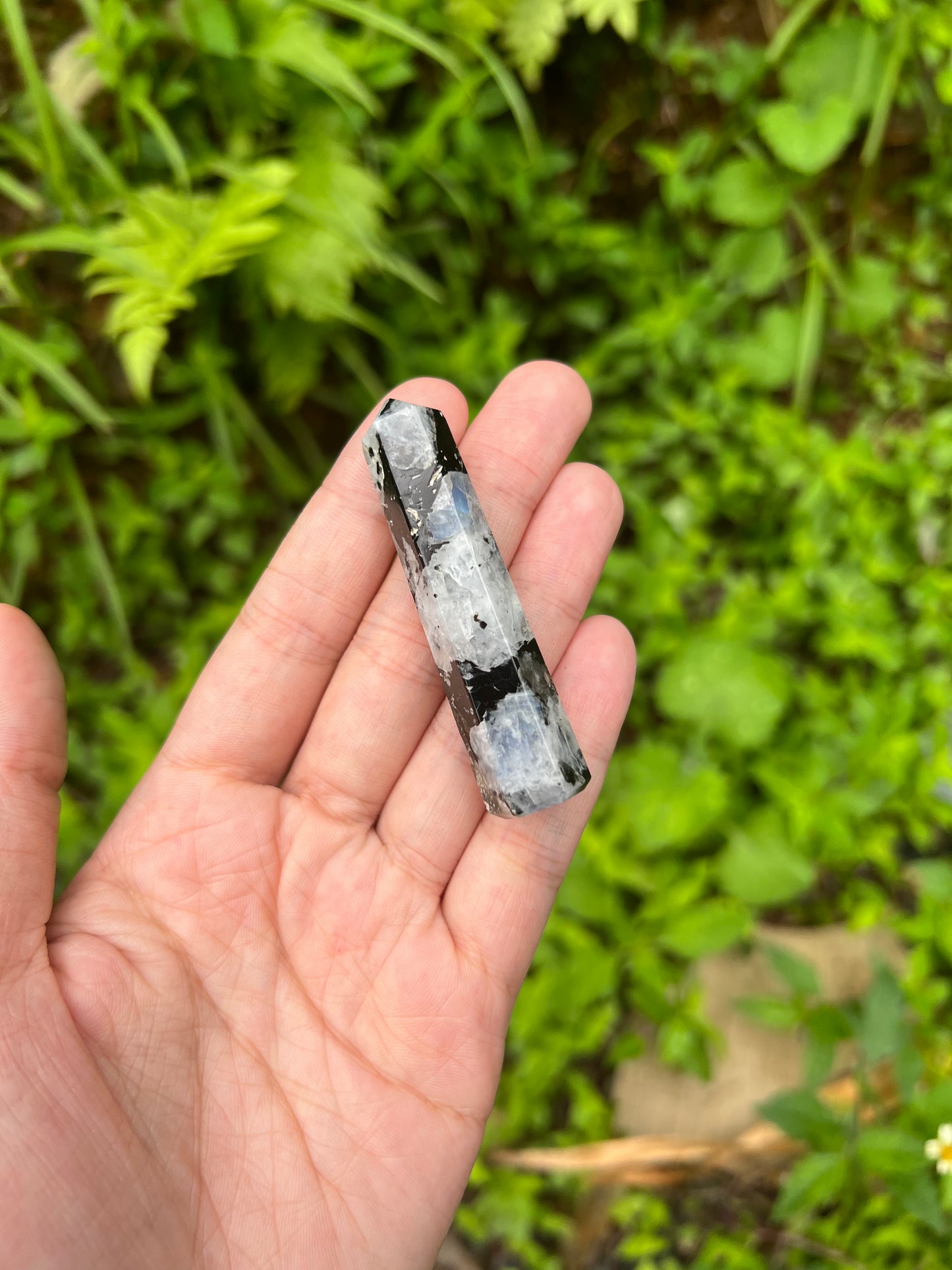 Rainbow Moonstone Points