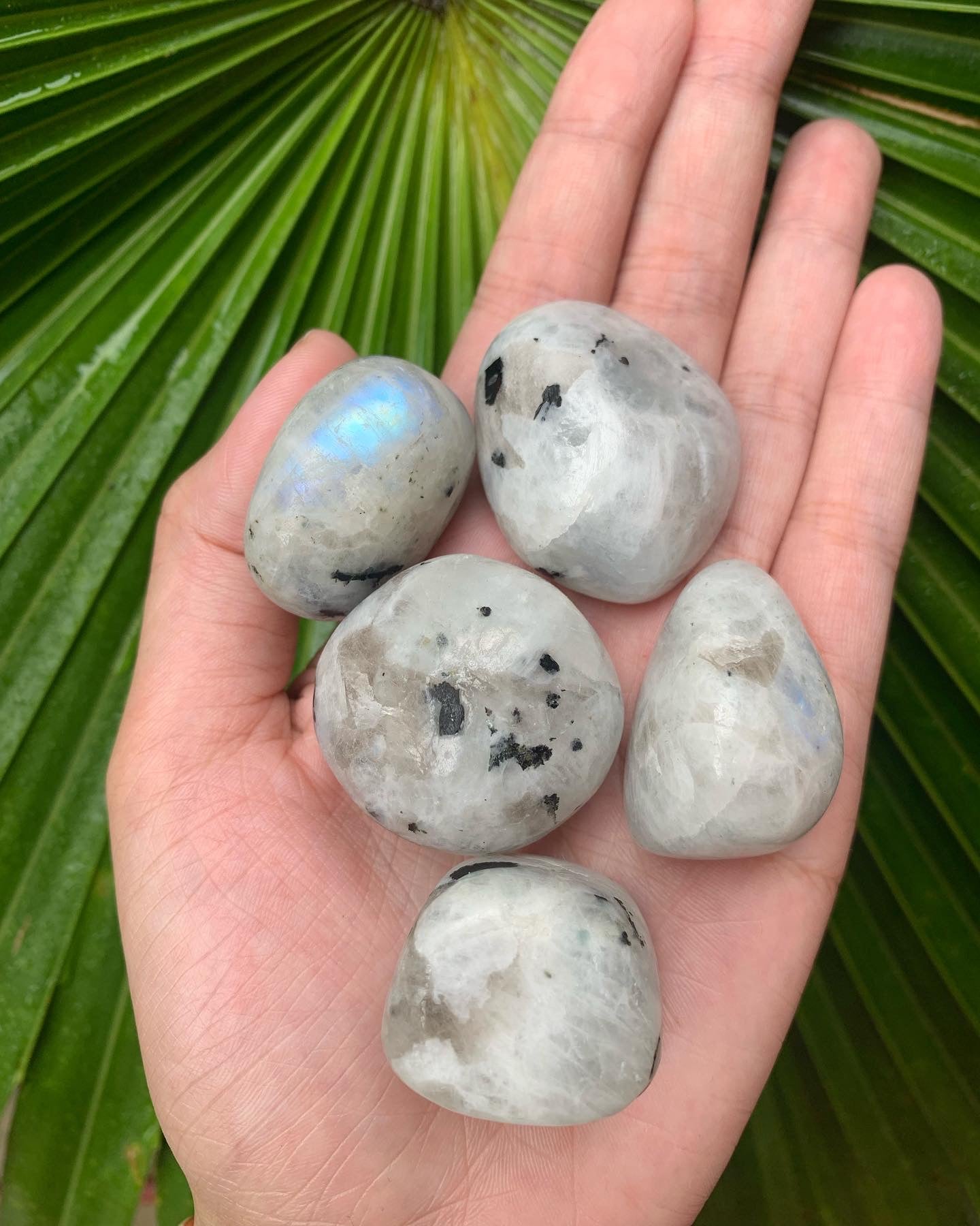 Rainbow Moonstone- Large